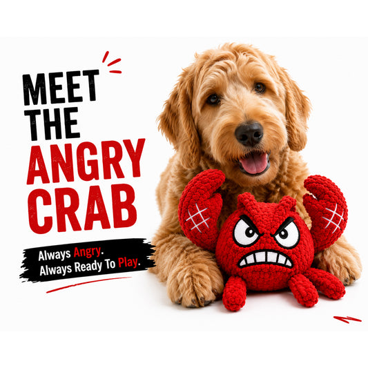 YoFellas Crab Plush Dog Toy | Durable Interactive Dog Toy
