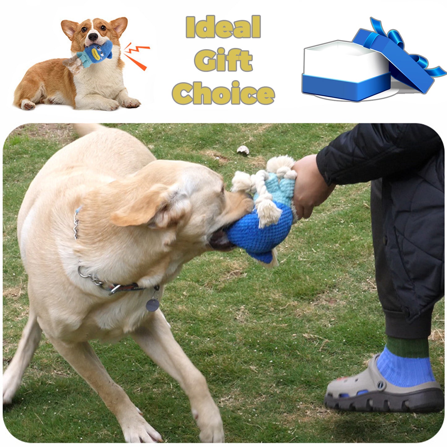 YoFellas Dog Plush Toy Funny Cute Soft Animals Squeaky for Aggressive Chewer, Interactive Toy for Training get More Fun, Durable Toys for Small Medium Large Dog, Gift for Dogs (Squid)