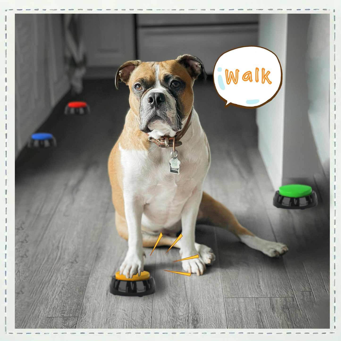 YoFellas Pet Communicator Button - 4 Pack | Interactive Voice Buttons for Dogs | Training & Communication Device with Customizable Recordings | Durable, Non-Slip Base | Multiple Colors