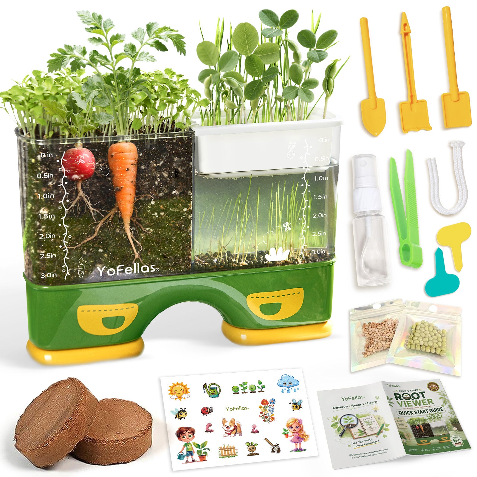 Kids Root Viewer & STEM Science Kit – Educational Plant Growing