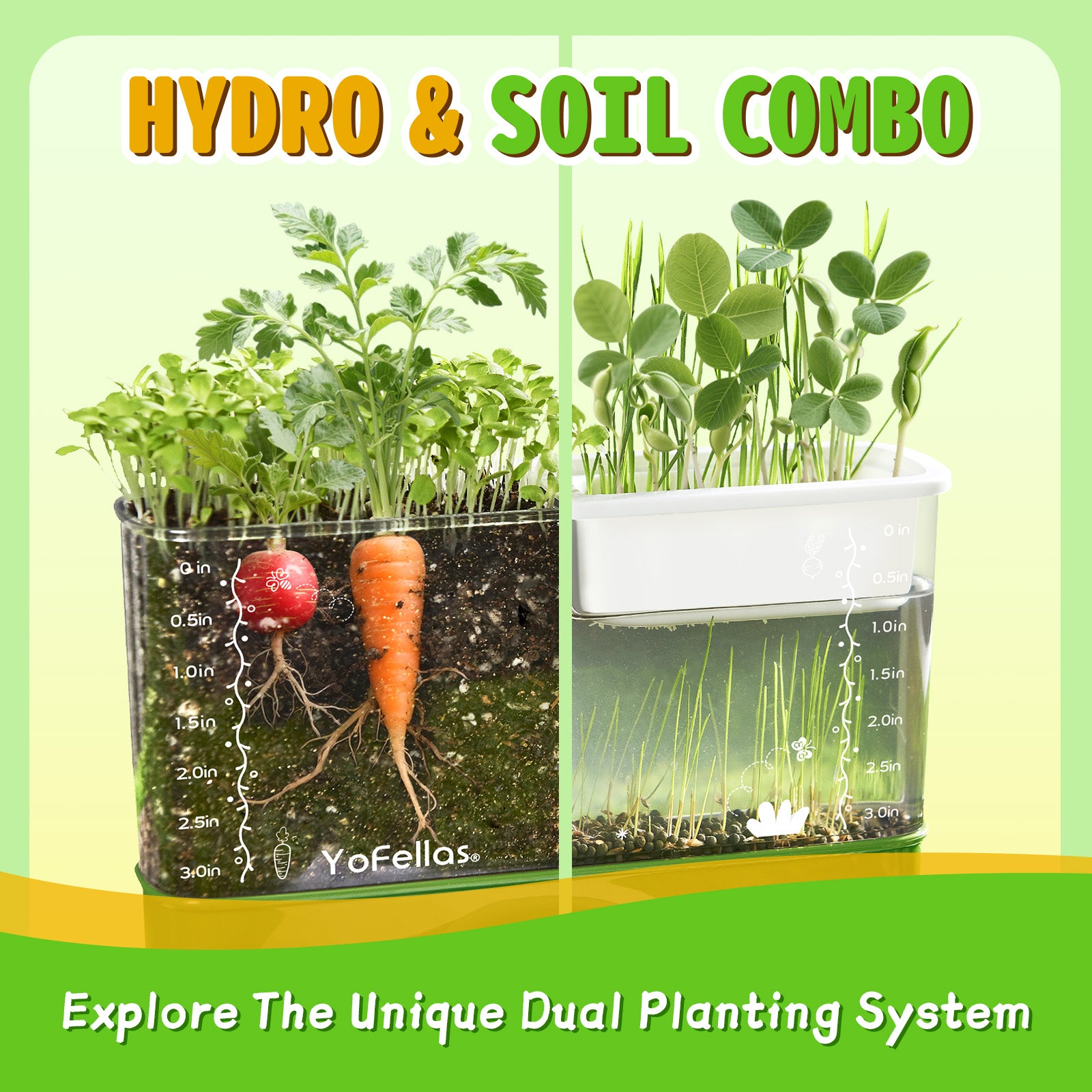 Kids Root Viewer & STEM Science Kit – Educational Plant Growing