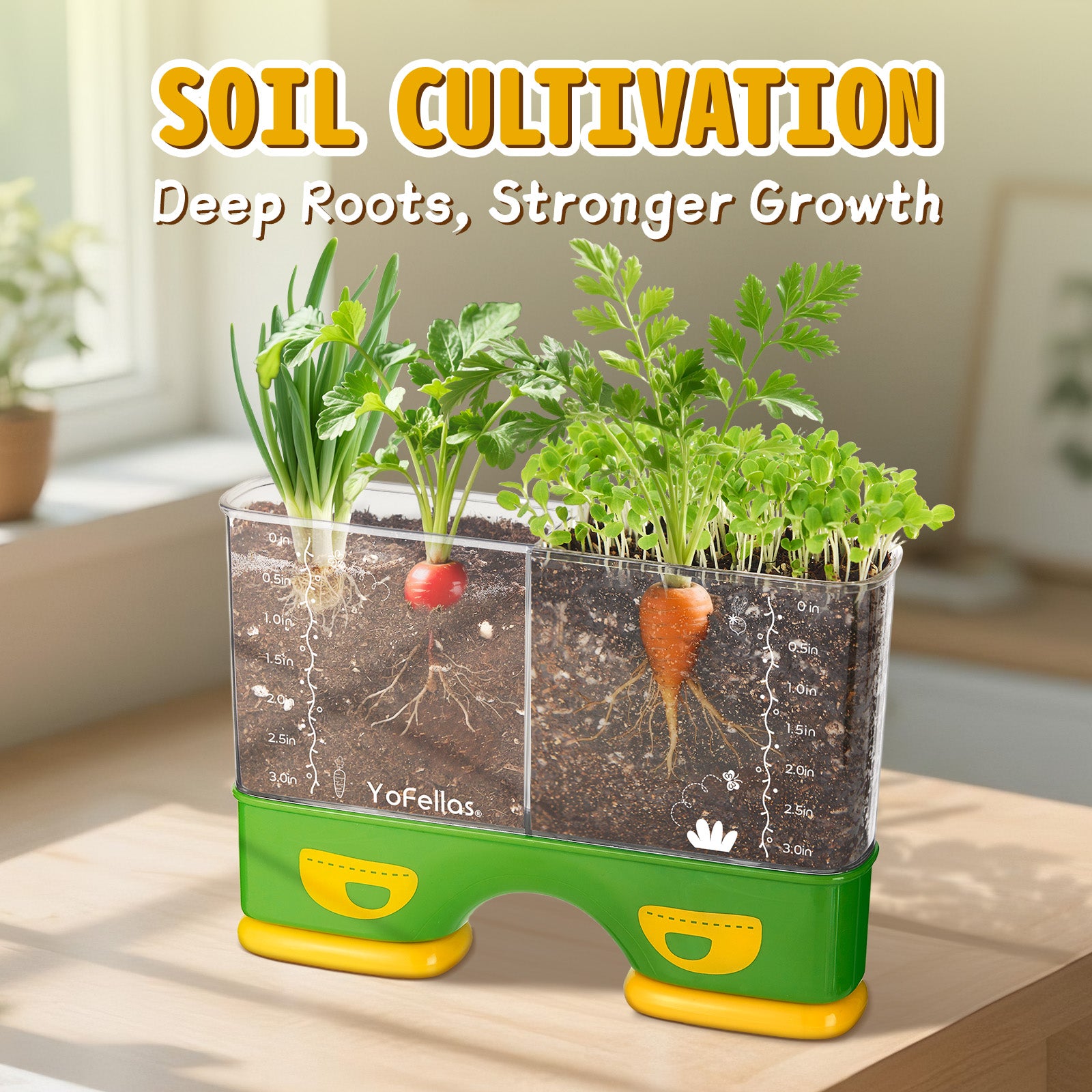 Kids Root Viewer & STEM Science Kit – Educational Plant Growing